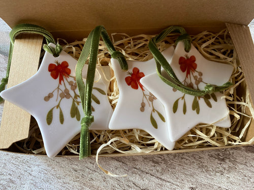 Christmas star - Mistletoe (boxed set of 3)