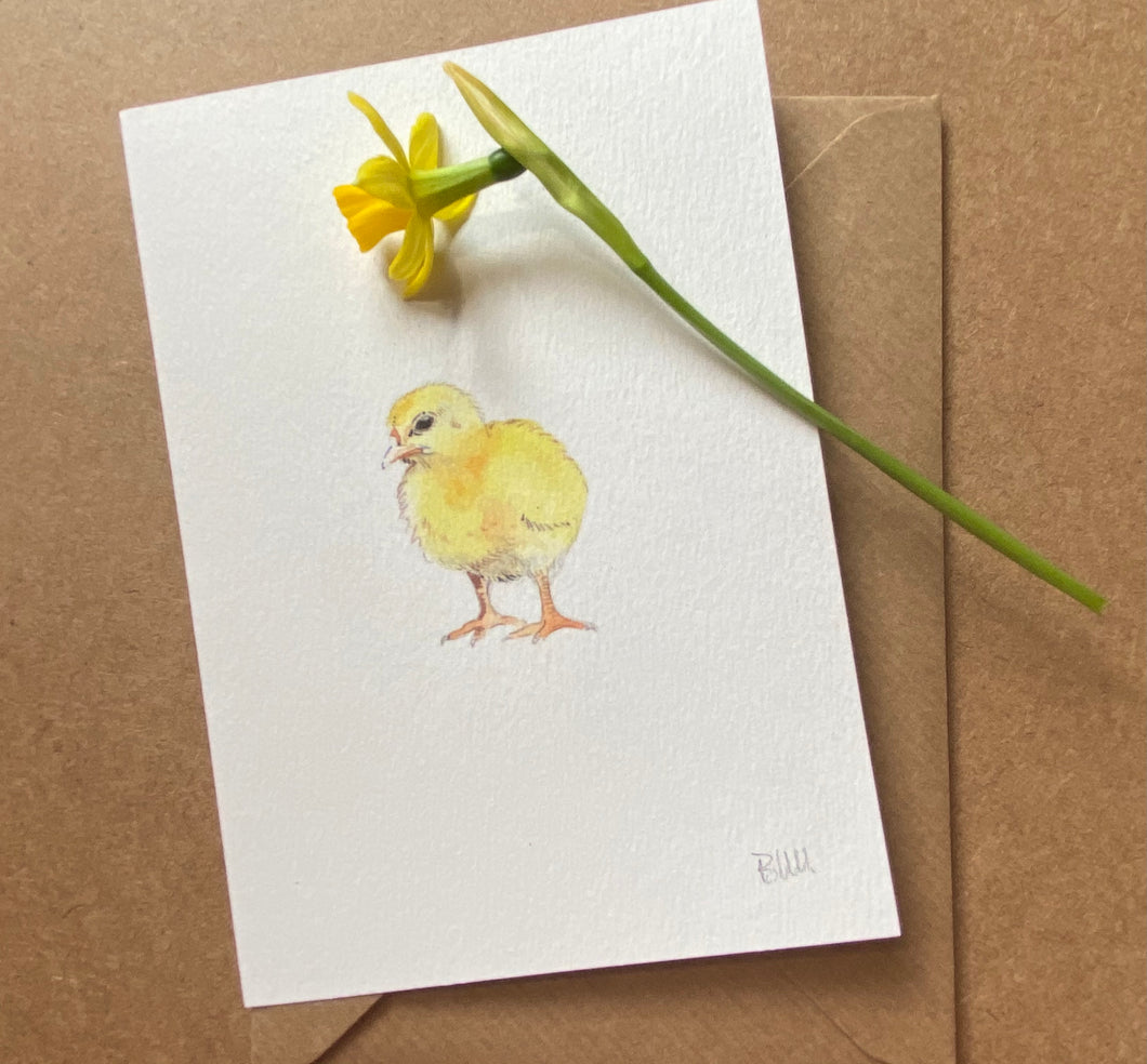 Greetings Card - Chick