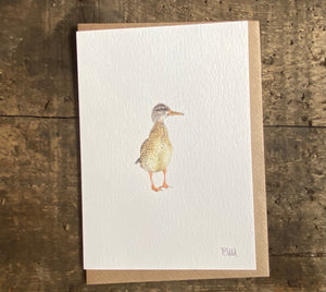 Greeting Card - Duck