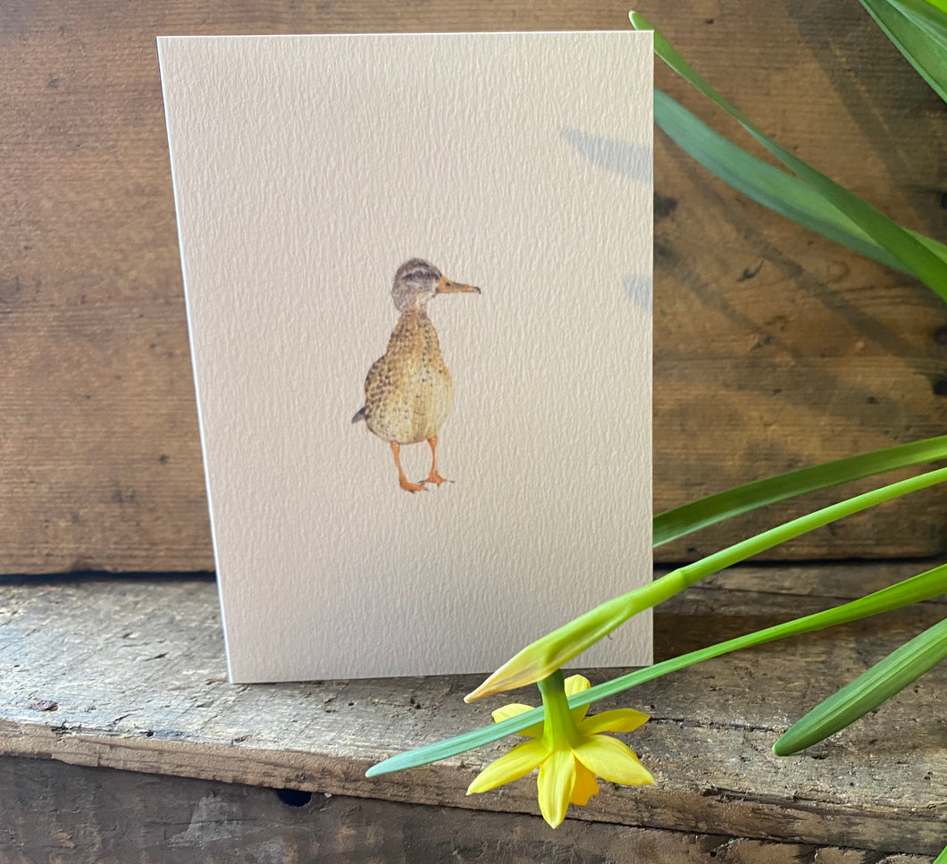 Greeting Card - Duck
