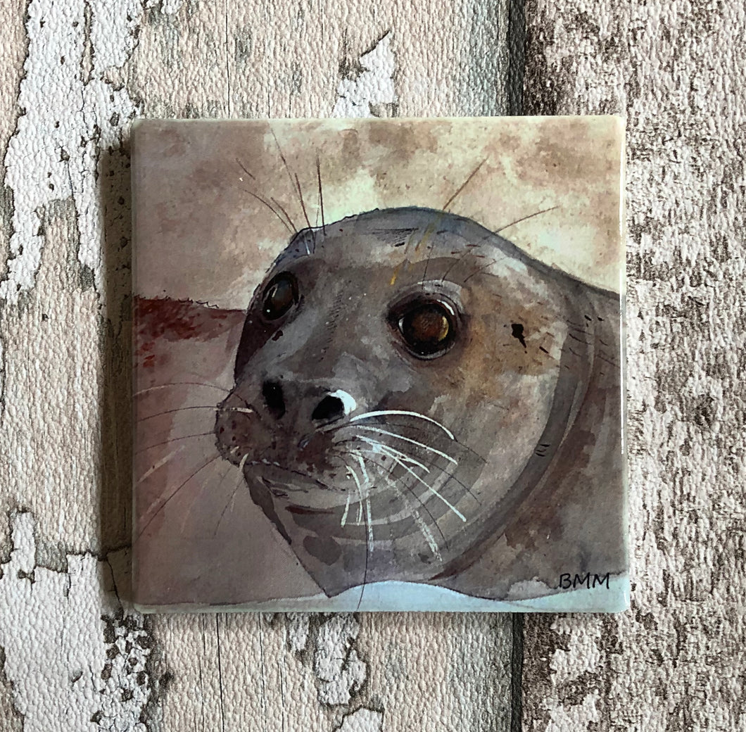Ceramic Coaster - Grey Seal