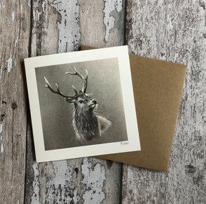 Greeting Card - Red Deer Stag