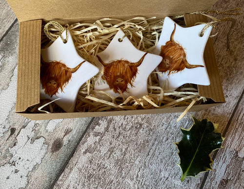 Christmas Star - Highland Cow (boxed set of 3)