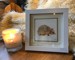 Framed Ceramic Coaster - Hedgehog
