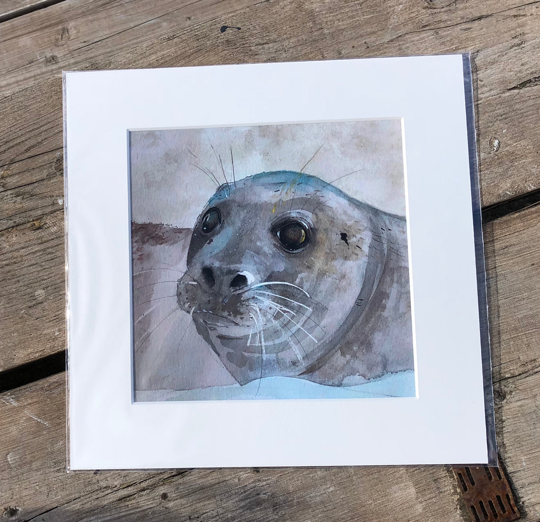 Giclee Prints - 23cm x 23cm  - Grey Seal