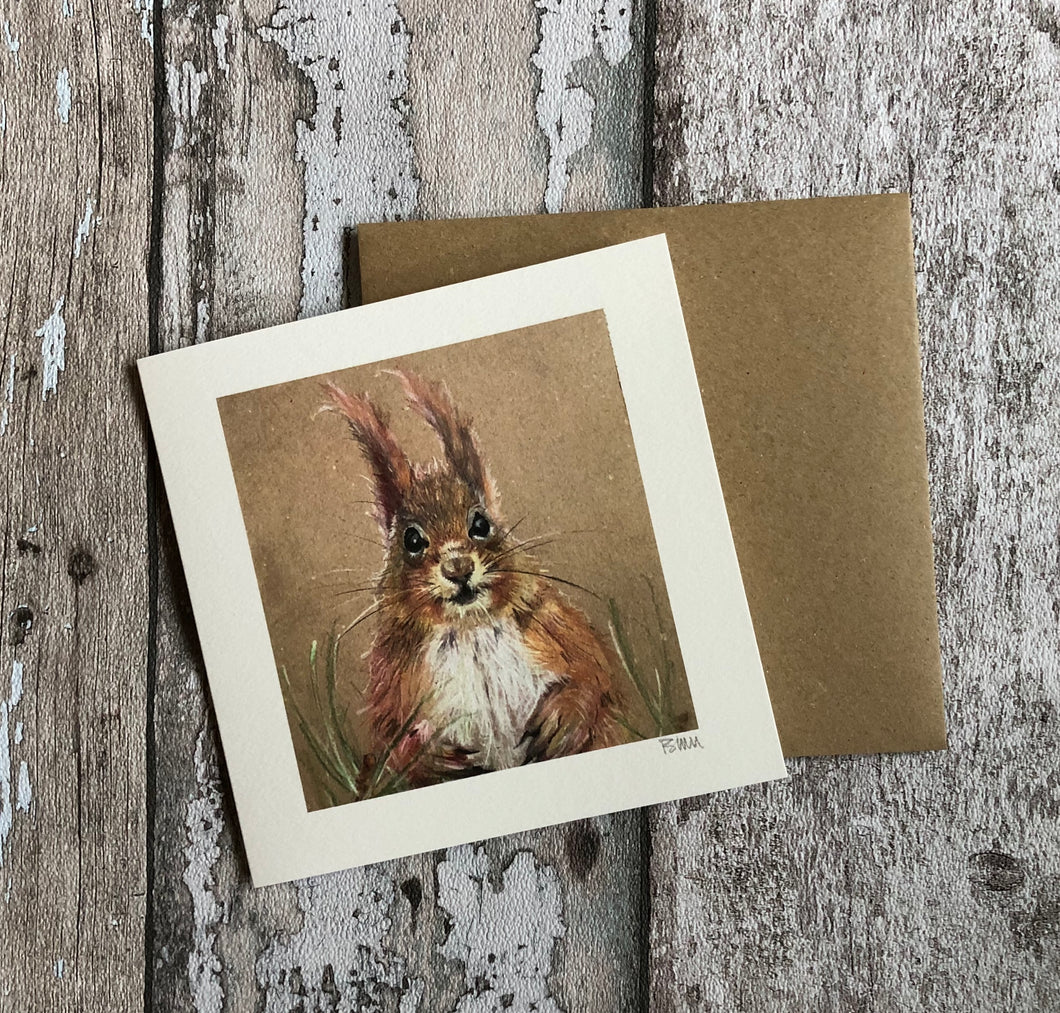 Greeting Card  - Scottish Red Squirrel