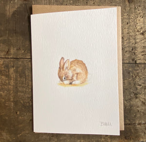 Greetings card - Shy Bunny