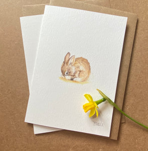 Greetings card - Shy Bunny